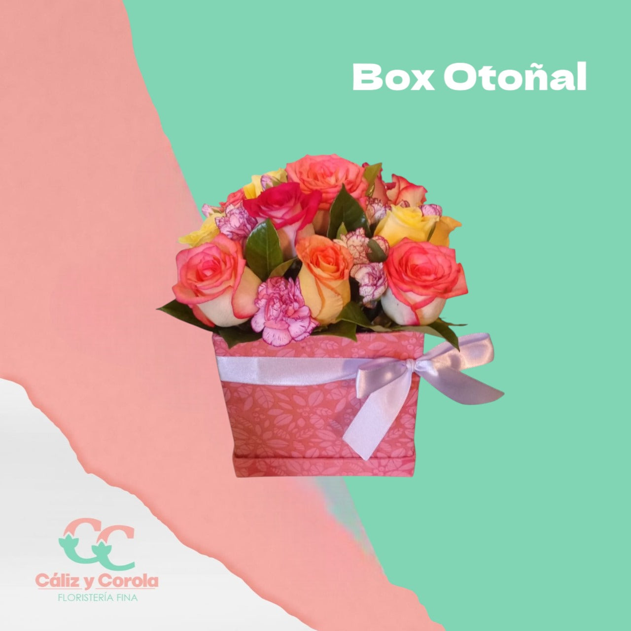 Box Otoñal