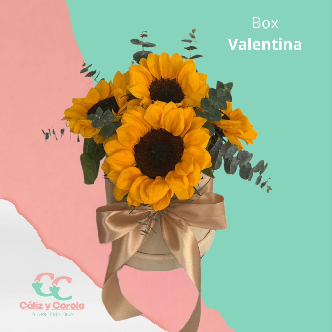 Box Valentina