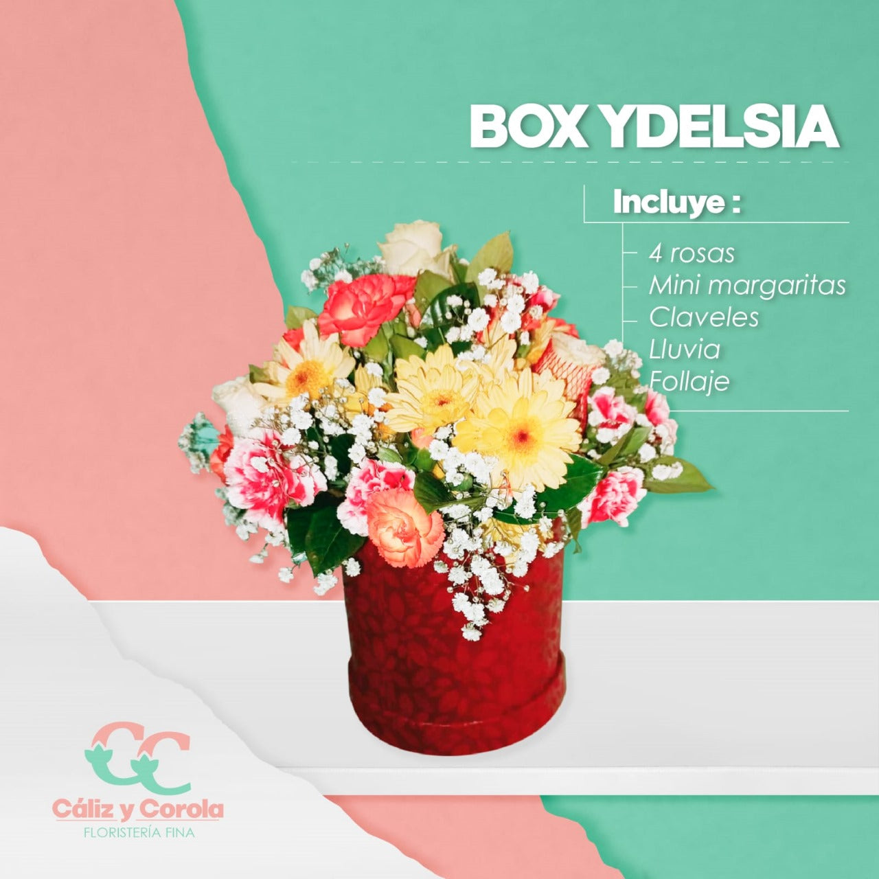 Box Ydelsia