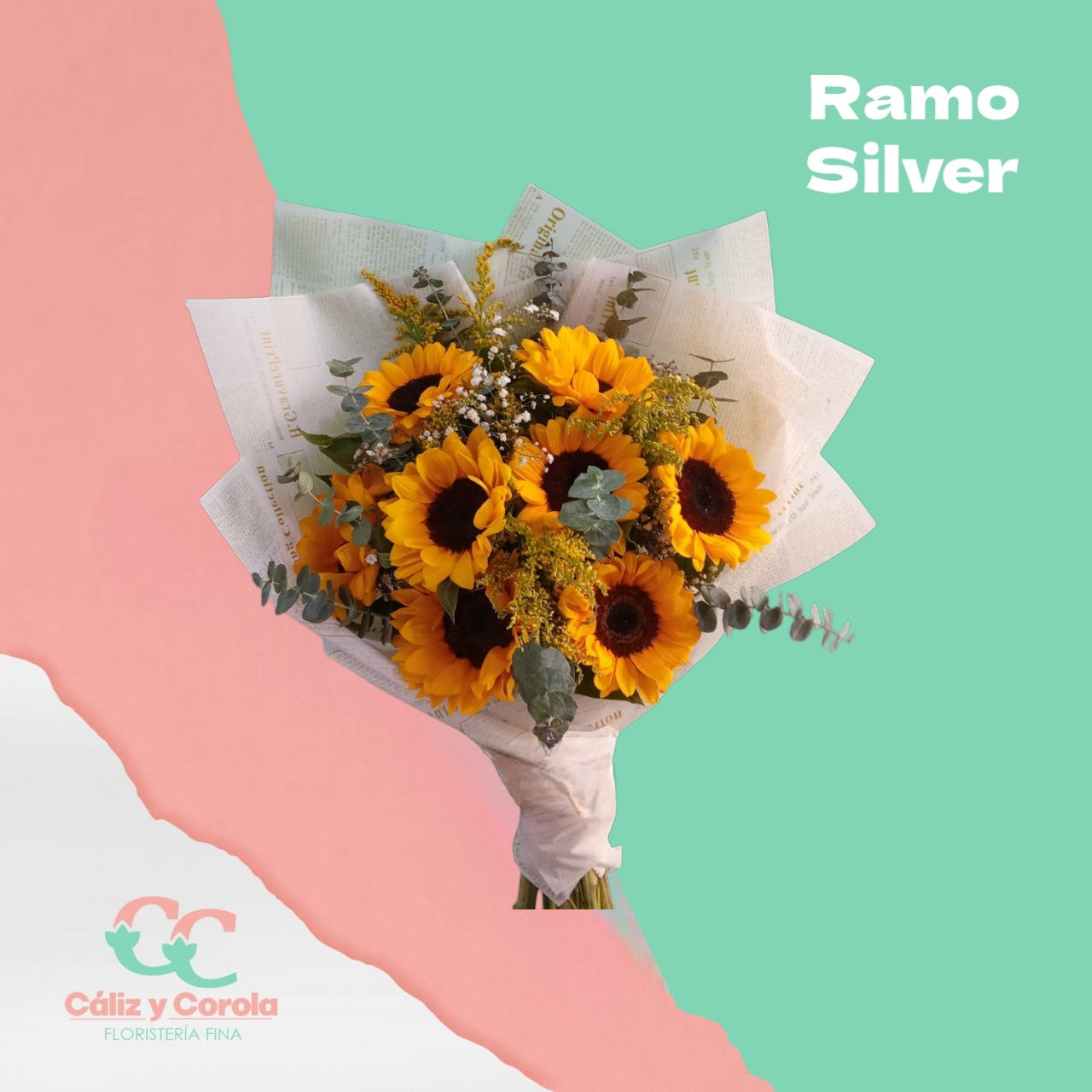 Ramo Silver