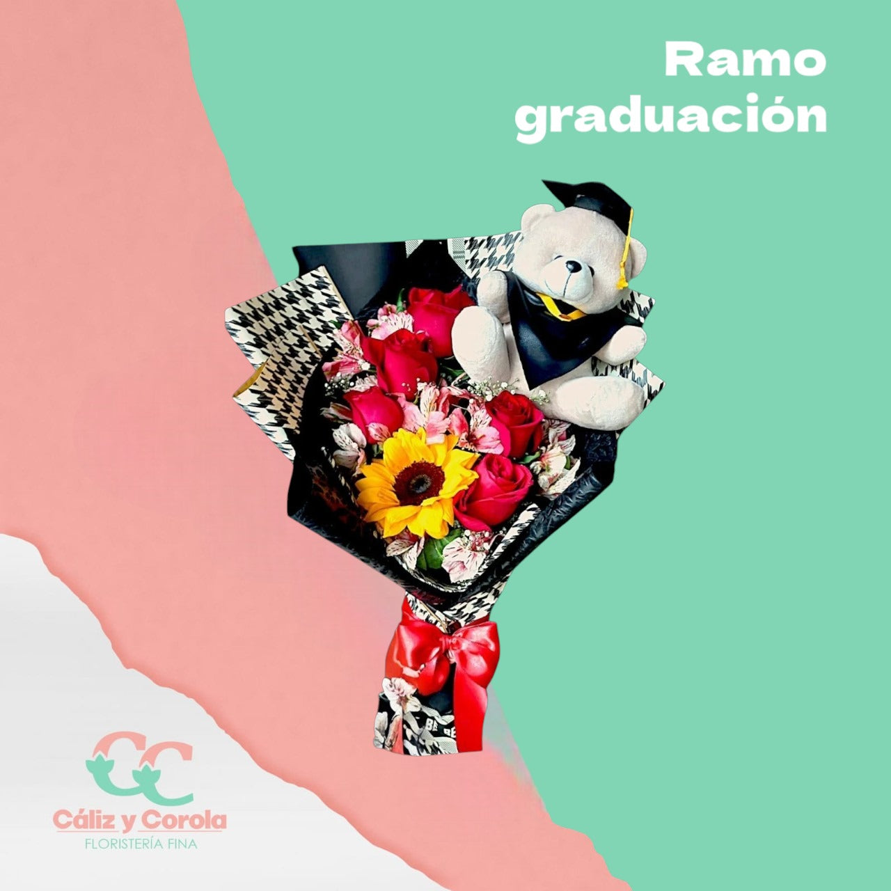 Ramo Graduación