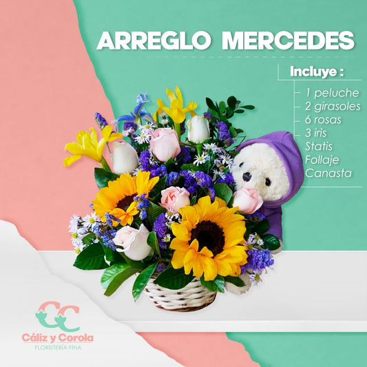 Arreglo Mercedes