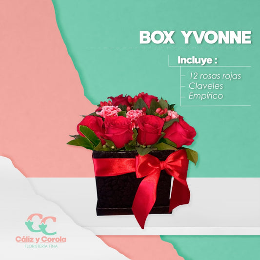Box Yvonne