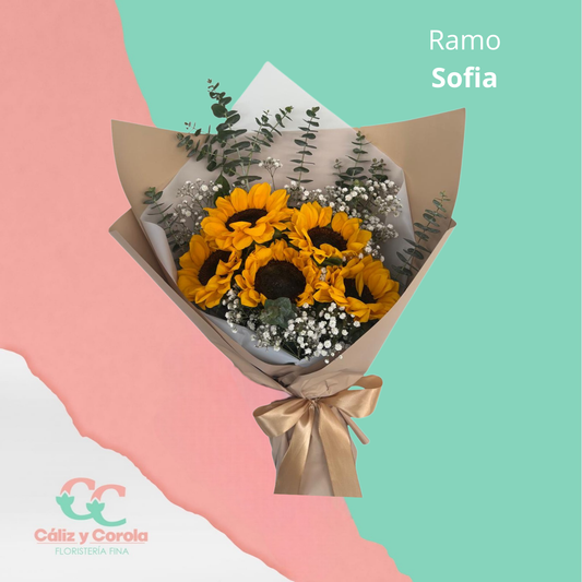 Ramo Sofia